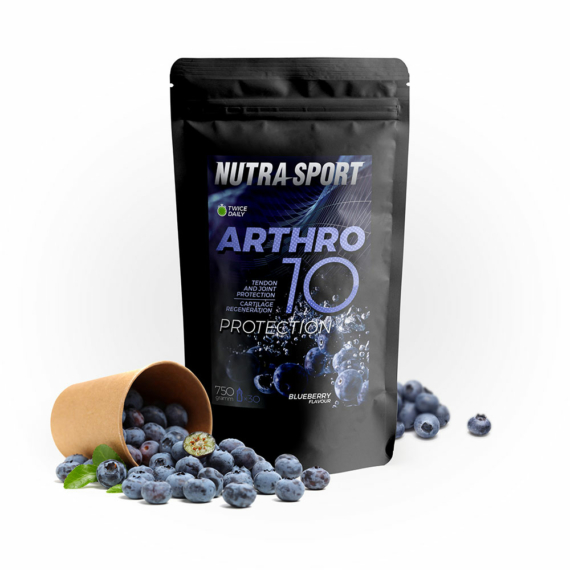 NutraSport Arthro10 Protection blueberry